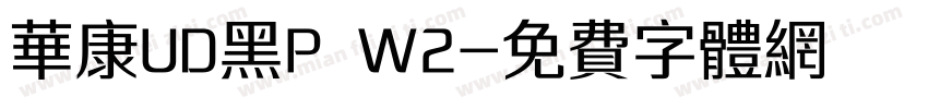 华康UD黑P W2字体转换